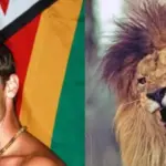 Tragedy on safari: lion fatally mauled the guide who defended tourists