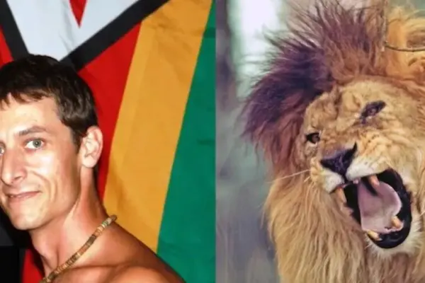 Tragedy on safari: lion fatally mauled the guide who defended tourists