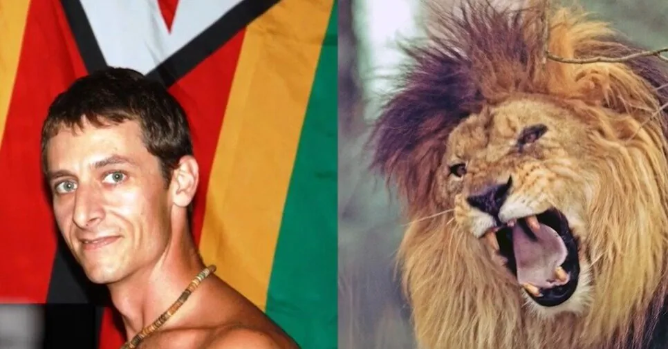 Tragedy on safari: lion fatally mauled the guide who defended tourists