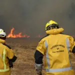 Bordeaux mayor: city is ready for any scenario due to fire threat