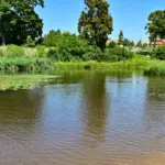 Bacteria were found in Panevėžys paddling pool: is it safe to use it yet?