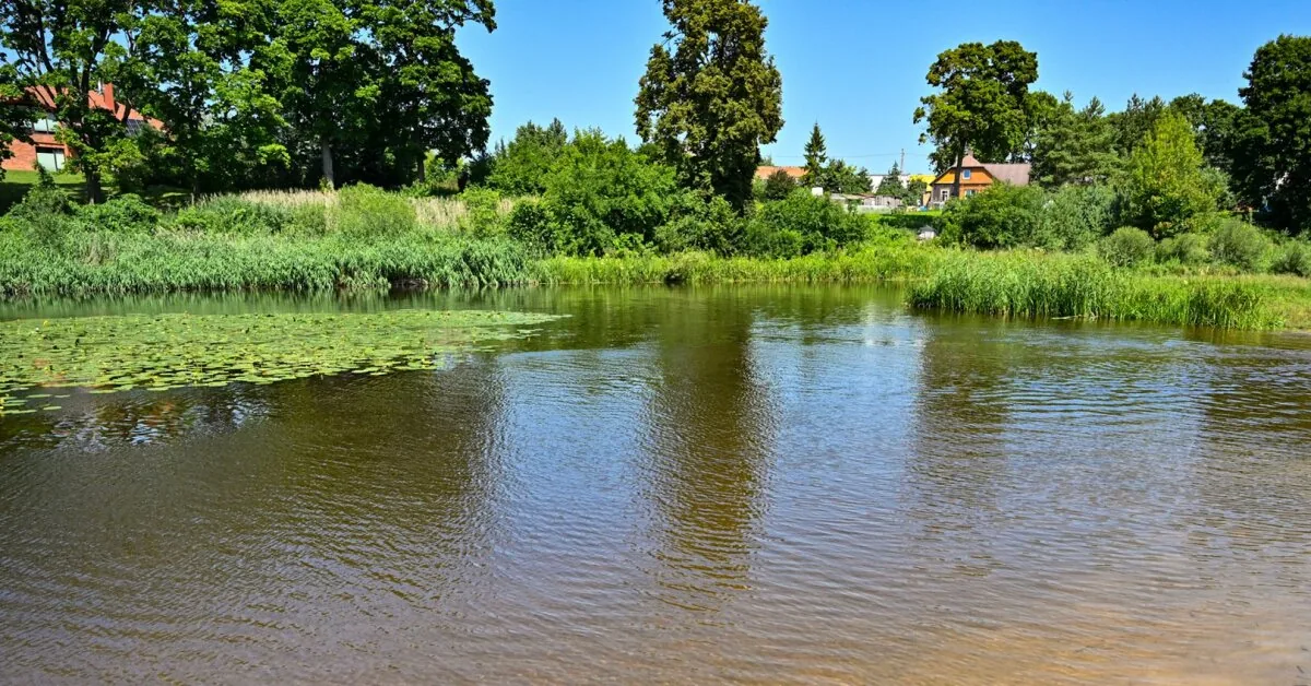 Bacteria were found in Panevėžys paddling pool: is it safe to use it yet?