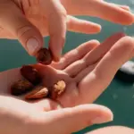 Doctor named the best nuts to lower blood pressure: eat more often!