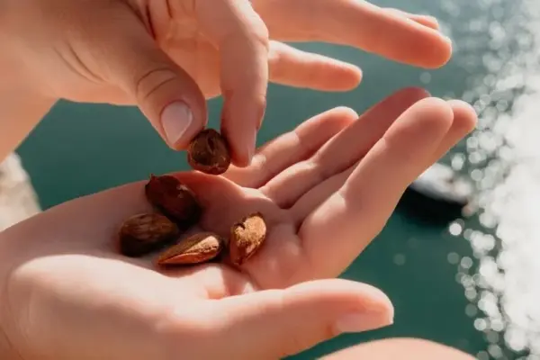 Doctor named the best nuts to lower blood pressure: eat more often!