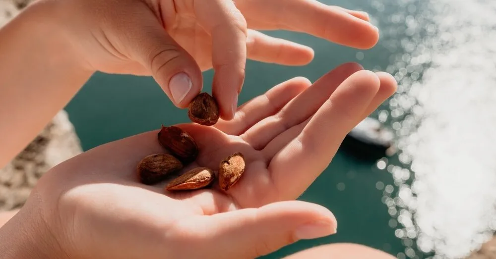 Doctor named the best nuts to lower blood pressure: eat more often!