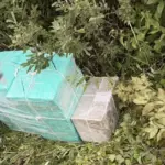Polish border guards' "catch": balloons with cigarettes and smugglers from Lithuania