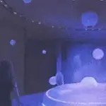 Book Anatomy: "Aurora and the Search for Life Among the Stars"