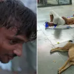 Heatwave in one of the hottest cities in the world: locals sleep outside, birds fall from the sky
