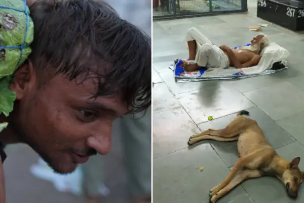Heatwave in one of the hottest cities in the world: locals sleep outside, birds fall from the sky
