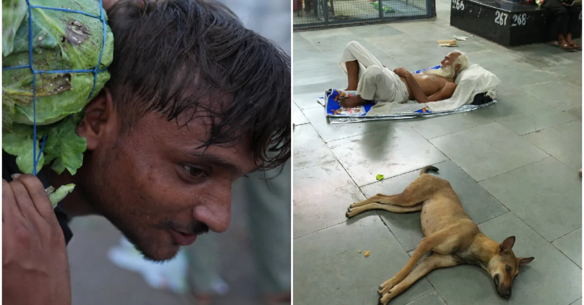 Heatwave in one of the hottest cities in the world: locals sleep outside, birds fall from the sky