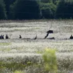 A military aircraft that crashed near Moscow was Russia's pride: what is known about it?