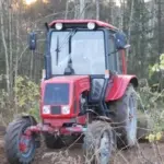 Employment Service: foreign workers also compensate for the shortage of employees in agriculture