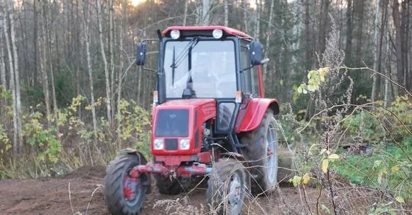 Employment Service: foreign workers also compensate for the shortage of employees in agriculture