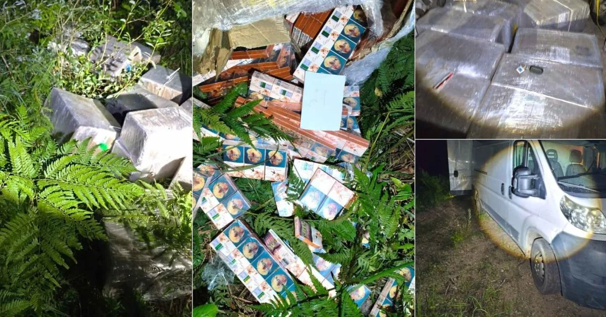 Special operation in Švenčionys district: one of the suspects tried to escape, the other fiercely resisted