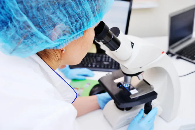 Shutterstock photo/Laboratory sample under examination