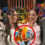 Only the most observant noticed: one detail on TV3 revealed the sensational arrival of "KK2"