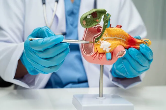 Shutterstock photo/Pancreas
