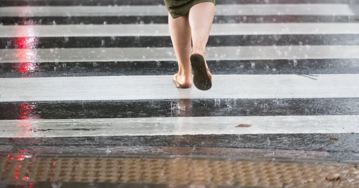 Orai.lt: summer rains will cool the heat