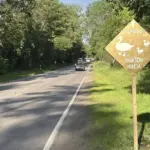 Neregėtas kelio ženklas Antakalnyje: liks stovėti ar bus pašalintas?