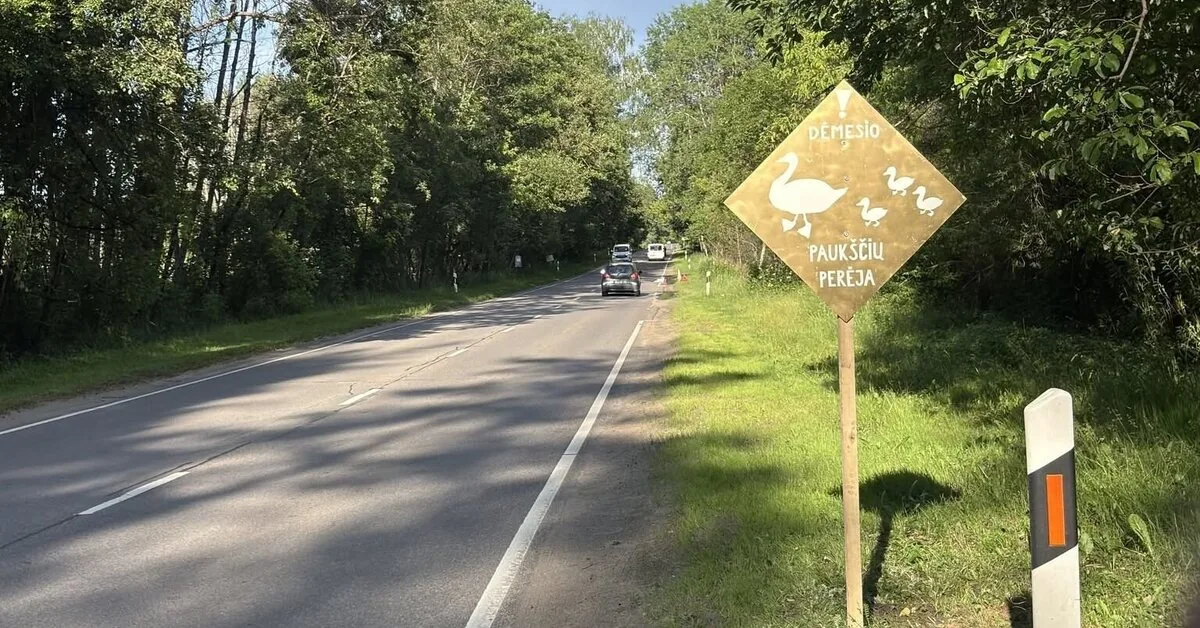 Neregėtas kelio ženklas Antakalnyje: liks stovėti ar bus pašalintas?