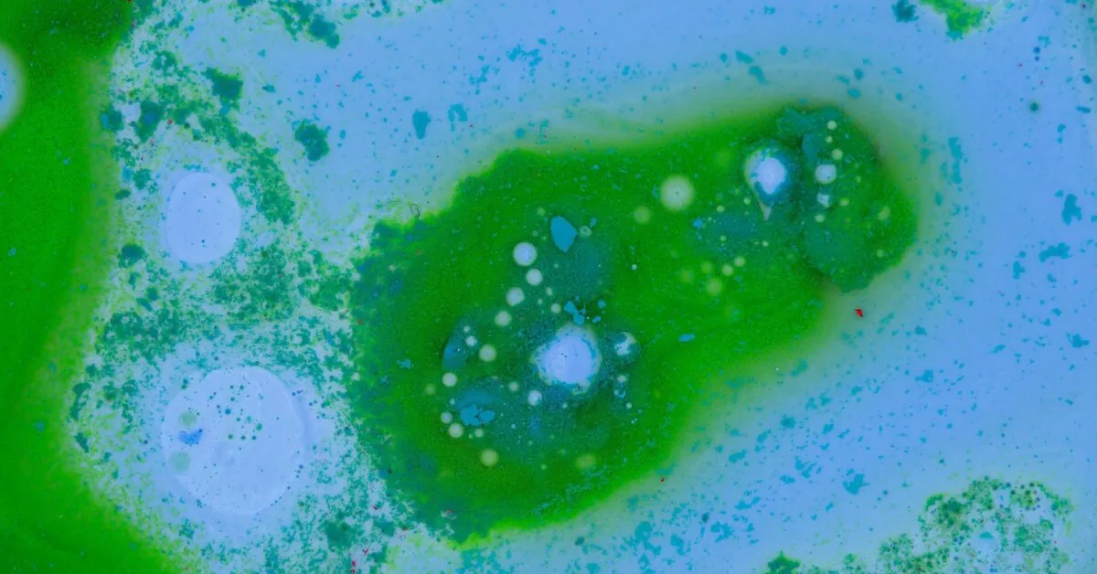 Deadly dangerous bacteria in the Baltic Sea: 2 people have already died in Germany