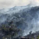 Forest fires rage near tourist beaches in Turkey
