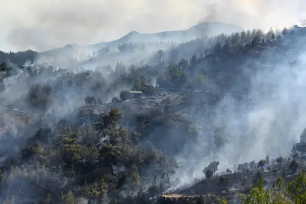 Forest fires rage near tourist beaches in Turkey