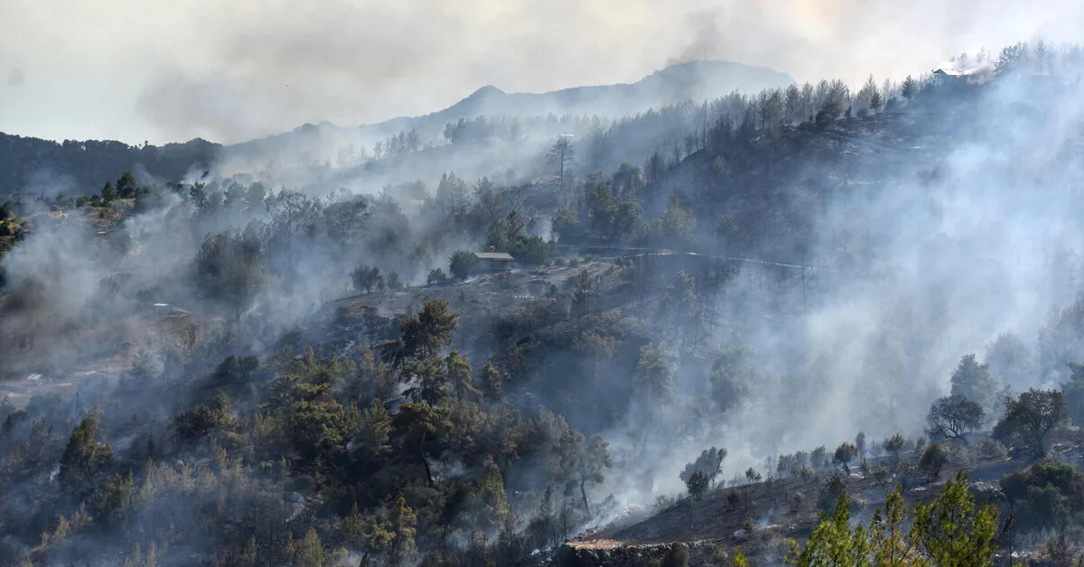 Forest fires rage near tourist beaches in Turkey