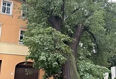 Audros padariniai Žemutinės Silezijos regione