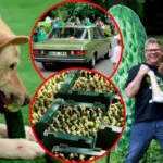 In Kėdainiai – cucumber festival: the green stage attracted crowds