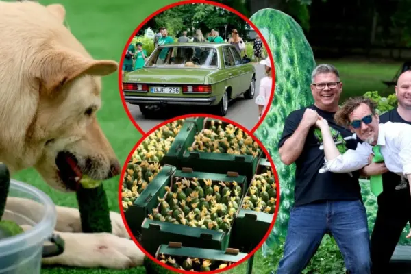 In Kėdainiai – cucumber festival: the green stage attracted crowds