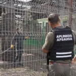 Court rejected Klaipėda Zoo's complaint about the ban on admitting visitors