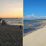 "I saw them doing it": well-known traveler spoke about an unexpected sight in the dunes of Palanga