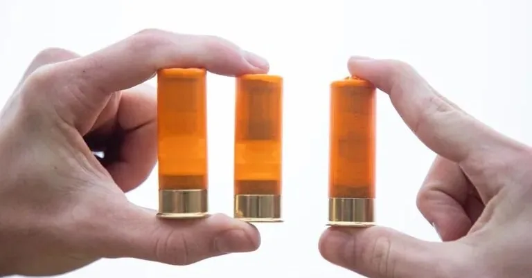 In Molėtai district, a man illegally possessed hunting cartridges
