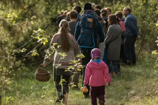 The first porcini mushrooms have appeared in the forests of Dzūkija: Varėna revealed the plans for the Mushroom Festival