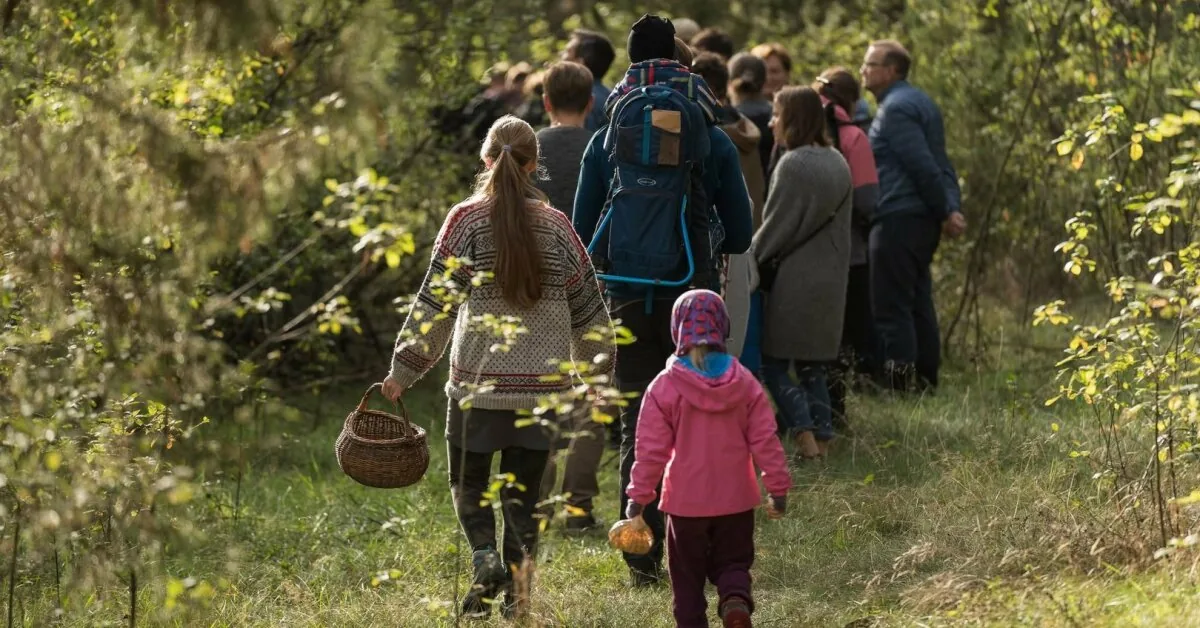 The first porcini mushrooms have appeared in the forests of Dzūkija: Varėna revealed the plans for the Mushroom Festival