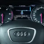 Audi A7 worth 13 thousand euros stolen in Šiauliai