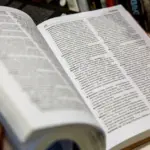 What Lithuanian words should be used to replace these 11 unacceptable foreign words?