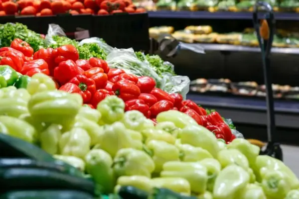 Compare prices in different retail chains: a clear difference between shopping baskets