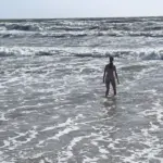 After news about deadly dangerous bacteria in the Baltic Sea – expert commentary