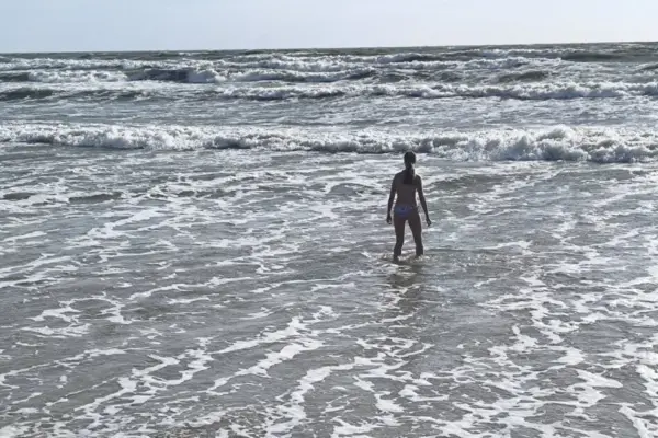 After news about deadly dangerous bacteria in the Baltic Sea – expert commentary