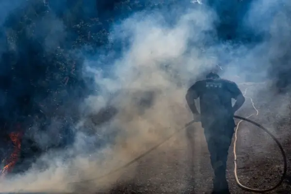 Three Britons and two other foreign nationals died in a forest fire in Spain
