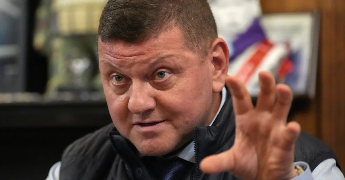 Found out if the shake-up in Zelensky's government will affect Zaluzhny
