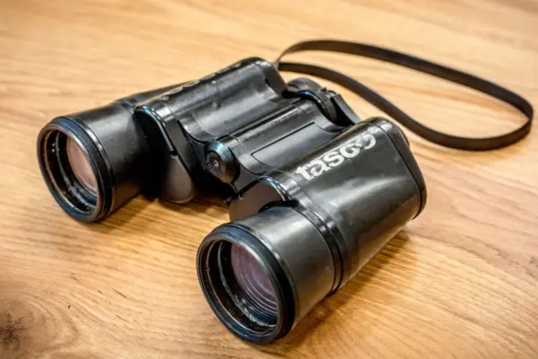 Tauragė police is investigating possible illegal collection and disclosure of private information