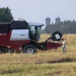 Winter barley harvesting has begun, the yield is good