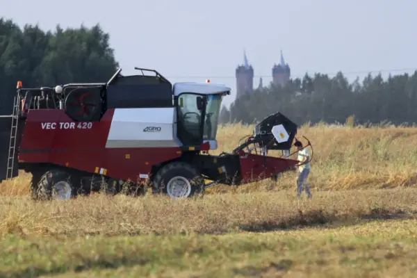 Winter barley harvesting has begun, the yield is good