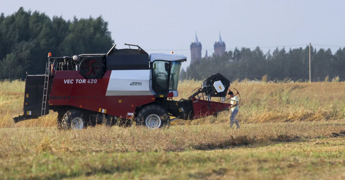 Winter barley harvesting has begun, the yield is good