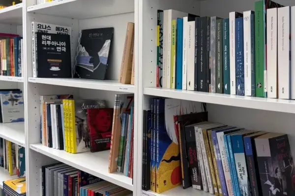 Lithuanian literature will spread from Peru to Sri Lanka: 32 book translations funded