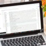 8 reasons why your inbox is flooded with spam and scam emails: what to do?