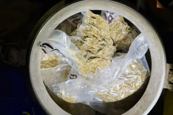 In Telšiai district, a suspected cannabis cultivation laboratory was discovered
